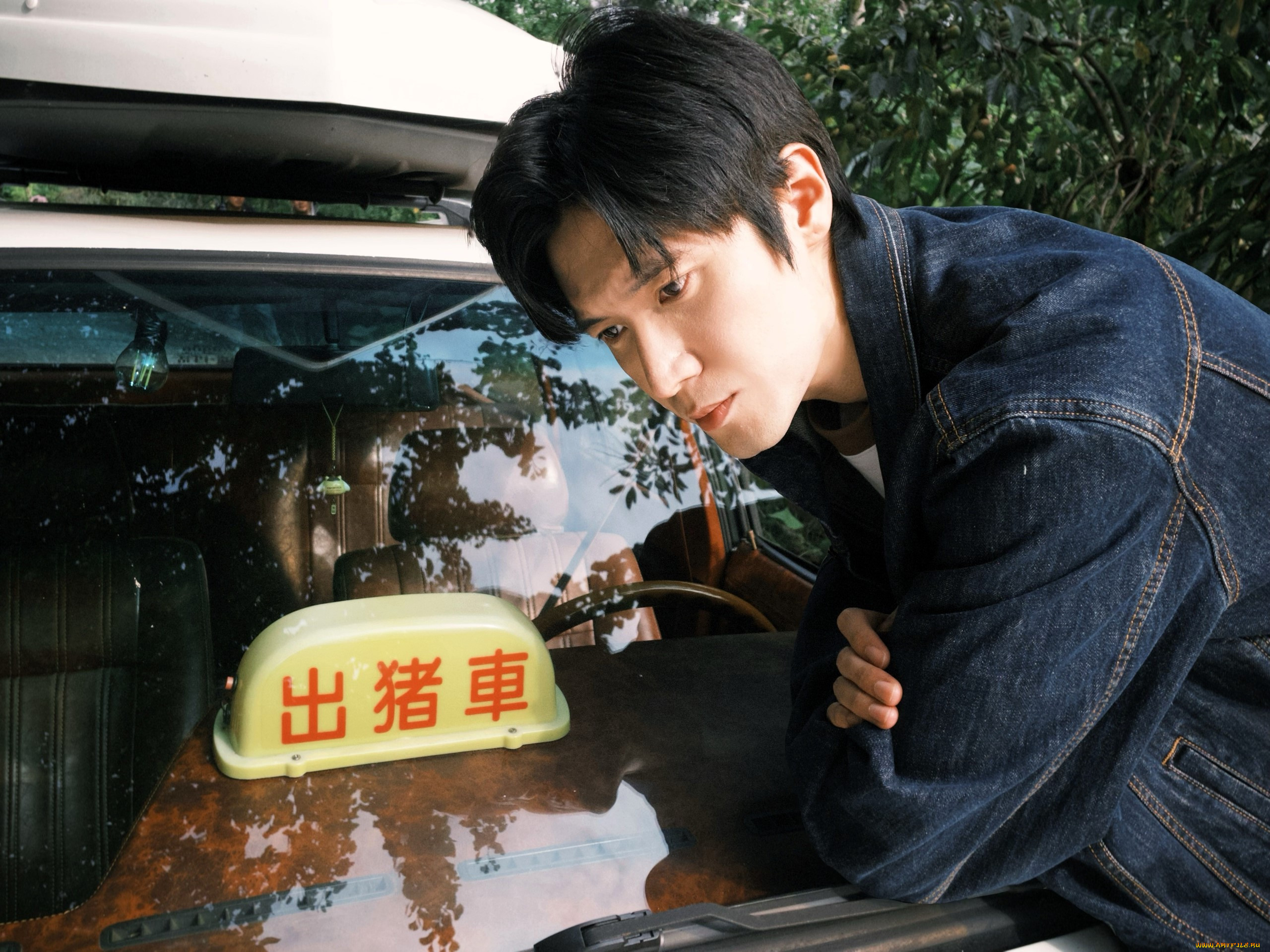 �������, liu haikuan, �����, ������, ������, �����